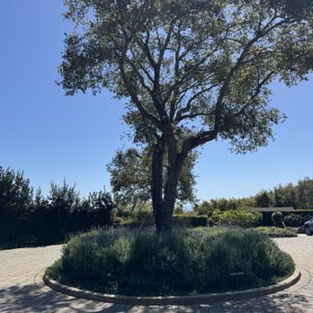 San Ysidro Ranch - Hotels Near Me - Montecito, California San Ysidro Ranch - Hotels Near Me - Montecito, California