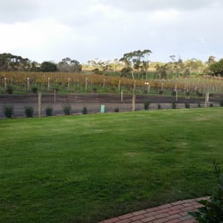 Scotchmans Hill Vineyards