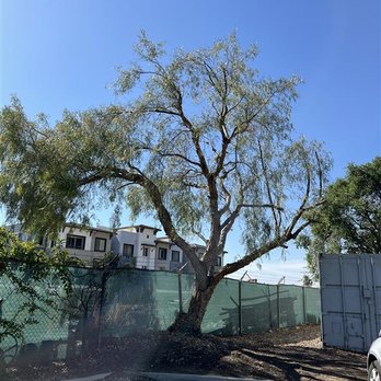 Gavino Landscaping - Tree Services Near Me