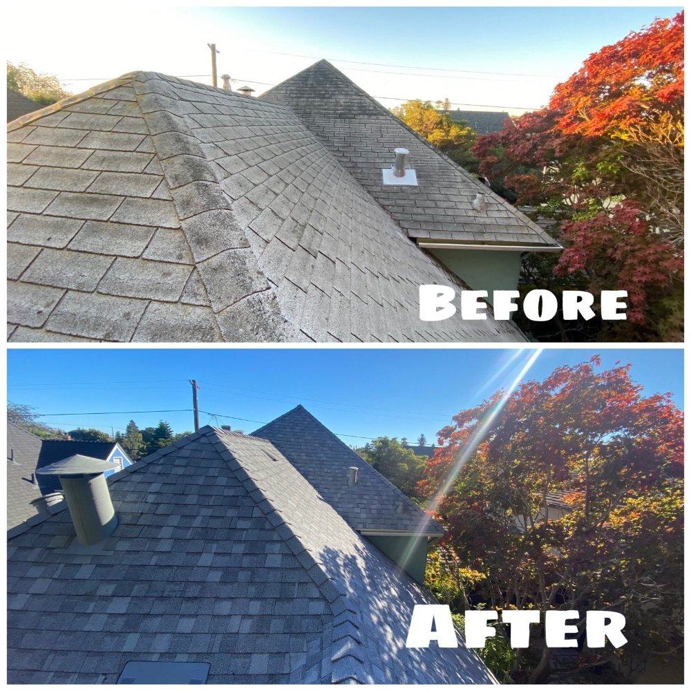 Slide of Leon Brothers Roofing