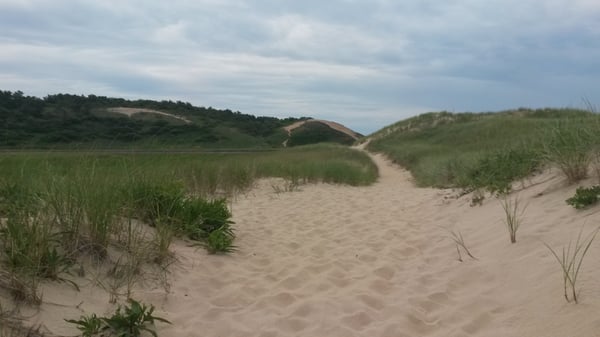 Great Island Trail by null