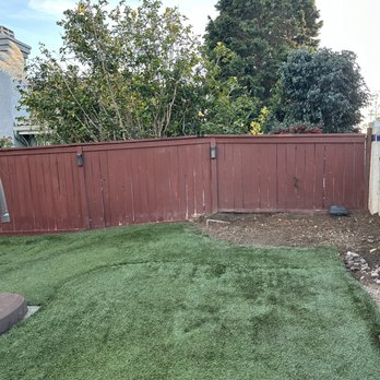Alonzo's Tree Service - After - Tree Services Near Me Alonzo's Tree Service - After - Tree Services Near Me