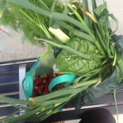 Norwood CSA Food Coop - Great value to the community - fresh veggies every week!