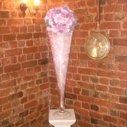 Forget Me Not