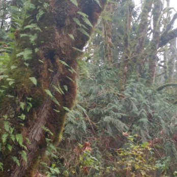Twin Falls Trailhead - Hiking Near Me - North Bend, Washington Twin Falls Trailhead - Hiking Near Me - North Bend, Washington