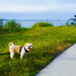 Edgewater Drive Park