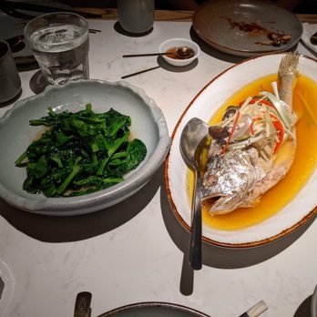 Cheli - Snow pea tips were the best I have ever had! Steamed Croaker, good on its own and better with douse with sauce it came with!! - Shanghainese Near Me - New York, New York Cheli - Snow pea tips were the best I have ever had! Steamed Croaker, good on its own and better with douse with sauce it came with!! - Shanghainese Near Me - New York, New York