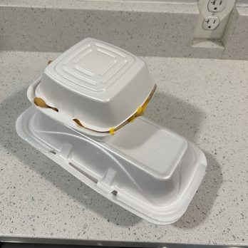 Bebo's Cheesesteaks - Plates - Cheesesteaks Near Me - Wesley Chapel, Florida
