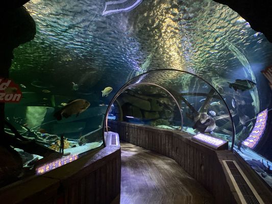 SEA LIFE at Mall of America by null