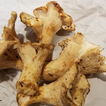 Lenny's Produce - Very firm and meaty chanterelles! They were delicious pan fried with a bit of butter - Fruits & Veggies Near Me - Seattle, Washington