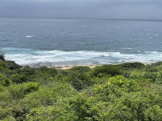 Point Udall by null