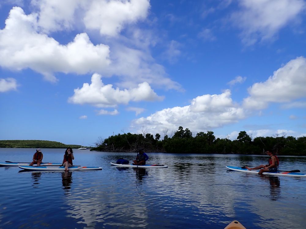 Jak Water Sports Image