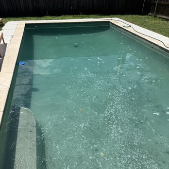 Blue Science Pools - pool AFTER the service - Pool Cleaners Near Me - The Colony, Texas