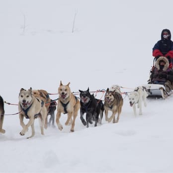 Sled Dog Adventures - I was very happy with the extra gear they loaned me! I felt like a snow bedouin! - Sledding Near Me Sled Dog Adventures - I was very happy with the extra gear they loaned me! I felt like a snow bedouin! - Sledding Near Me