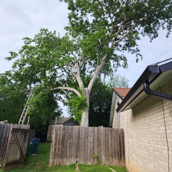 Grace Landscaping and Tree Service - Landscaping Near Me Grace Landscaping and Tree Service - Landscaping Near Me