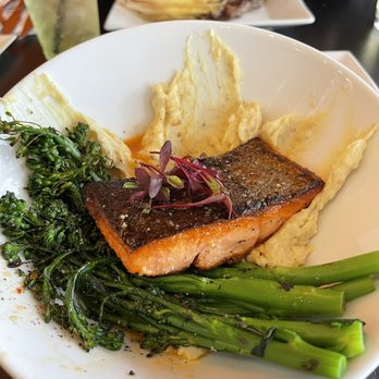 Pazzo - Salmon - Bars Near Me - Creswell, Oregon