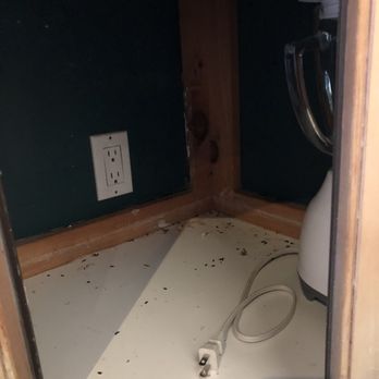 Big Bear Cool Cabins - MOUSE POOP - Property Management Near Me - Big Bear Lake, California Big Bear Cool Cabins - MOUSE POOP - Property Management Near Me - Big Bear Lake, California