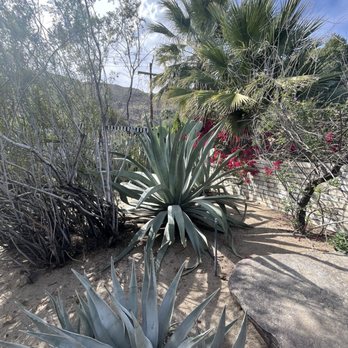 Moorten Botanical Garden - Nurseries & Gardening Near Me - Palm Springs, California Moorten Botanical Garden - Nurseries & Gardening Near Me - Palm Springs, California