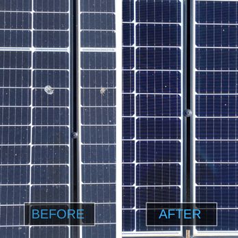 Cheetah - Professional solar panel cleaning for residential and commercial. Boost efficiency. Remove dirt & debris. Expert service. Book now! - Solar Panel Cleaning Near Me - Buckeye, Arizona Cheetah - Professional solar panel cleaning for residential and commercial. Boost efficiency. Remove dirt & debris. Expert service. Book now! - Solar Panel Cleaning Near Me - Buckeye, Arizona
