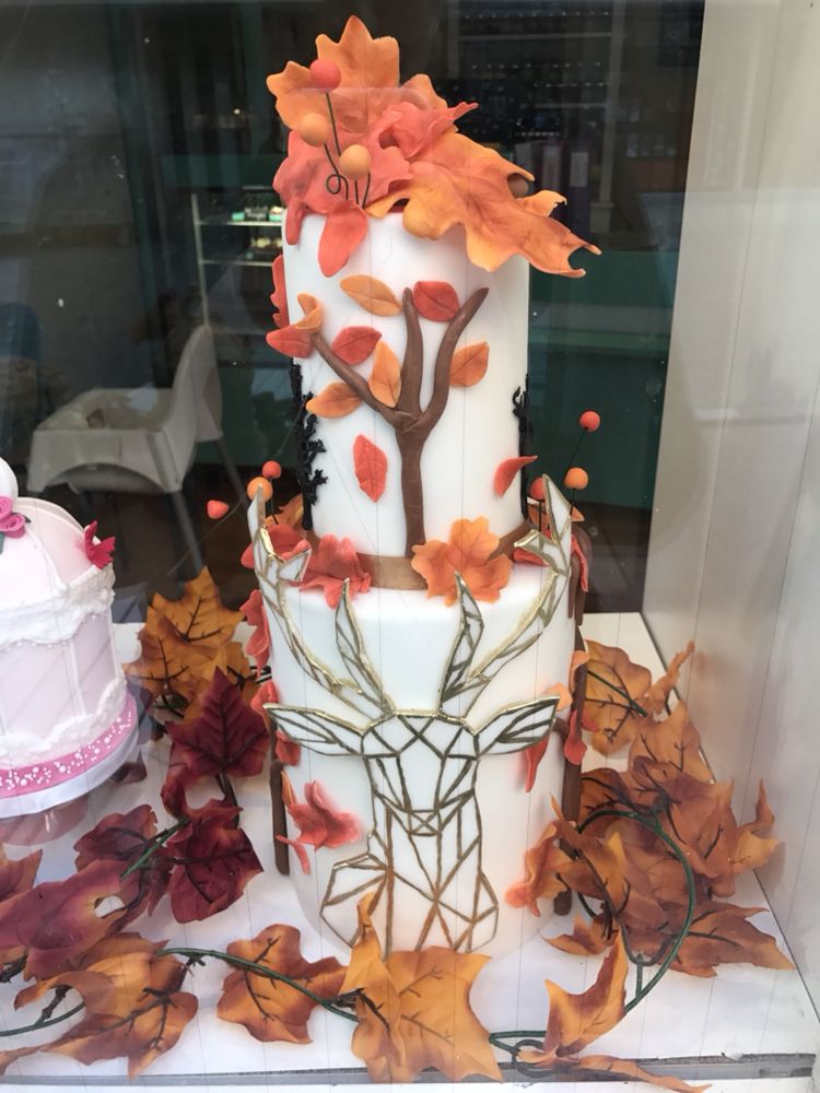 TIARA’S BAKERY Updated April 2024 10 Photos Goliathgasse 33, St