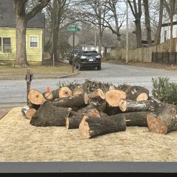 Don's Tree Service - Tree trunk moved to the front to be removed by company.