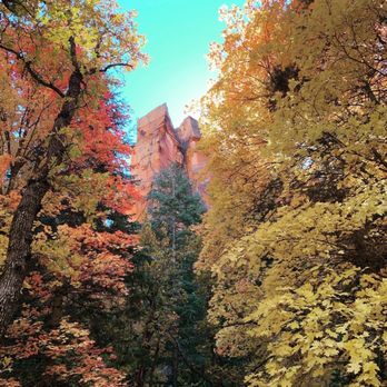 West Fork Trail - Hiking Near Me - Sedona, Arizona