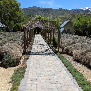 Lavender Ridge - The aisle - Venues & Event Spaces Near Me - Reno, Nevada