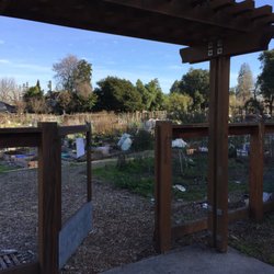 Rinconada Community Garden