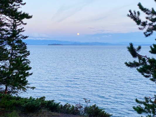 Yellowstone Lake by null