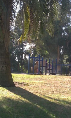 Harold A Henry Park by null