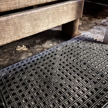 Gold's Gym - Trash and dirt all over floor. - Gyms Near Me - Cheyenne, Wyoming