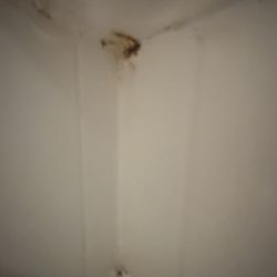 Residence Inn by Marriott Morgantown - Room 417. Black mold. And is that a leg?