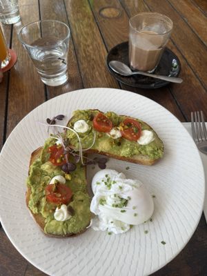 Vivo Palm Cove by null