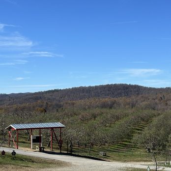 Sky Top Orchard - Pick Your Own Farms Near Me - Zirconia, North Carolina