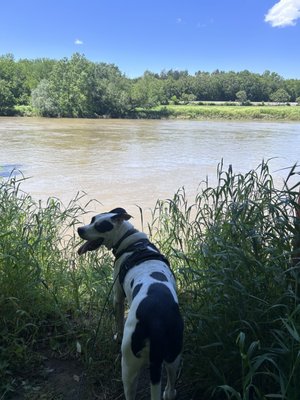 James River State Park by null