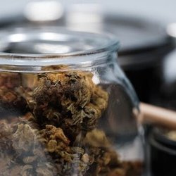 Cloud Cannabis Utica Dispensary - Cloud Cannabis Utica Dispensary