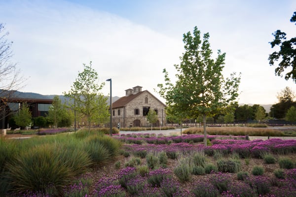 HALL Wines St. Helena by null