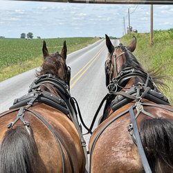 AAA Buggy Rides