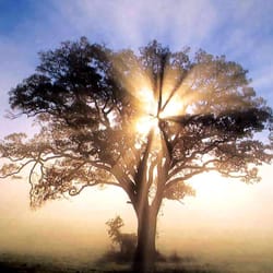 Paul Bains Counselling Services
