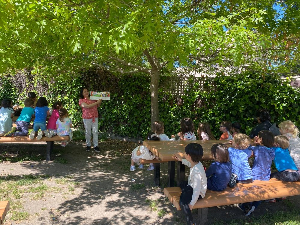 Orkidz Preschool - childcare center in Albany, CA