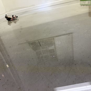 Nationwide Disaster Restoration - Damage Restoration Near Me Nationwide Disaster Restoration - Damage Restoration Near Me