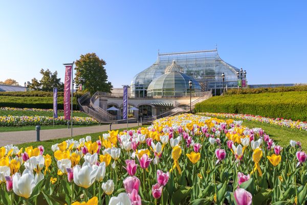 Phipps Conservatory and Botanical Gardens by null