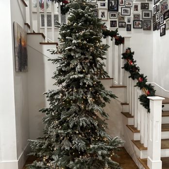 Mr. Jingles Christmas Trees - Thursday - Christmas Trees Near Me - Torrance, California Mr. Jingles Christmas Trees - Thursday - Christmas Trees Near Me - Torrance, California