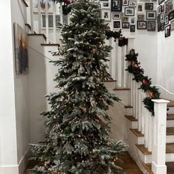 Mr. Jingles Christmas Trees - Thursday