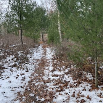 Crawley Preserve - Along the blue trail intersection with the yellow - Hiking Near Me - South Kingstown, Rhode Island