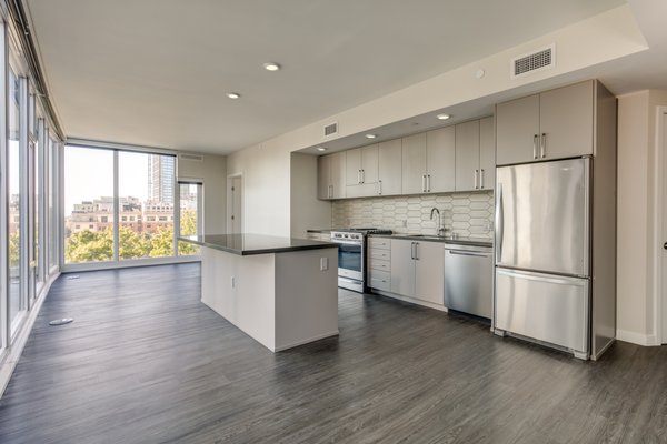 1717 Webster by null