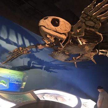 McWane Science Center - Museums Near Me - Birmingham, Alabama McWane Science Center - Museums Near Me - Birmingham, Alabama