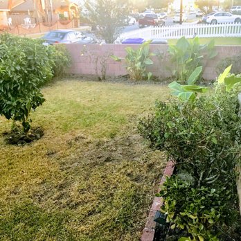 Armandos Gardening Service - Landscaping Near Me - Downey, California Armandos Gardening Service - Landscaping Near Me - Downey, California