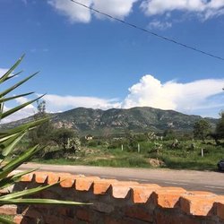 La Caminera Cervecería - What a beautiful sigh here