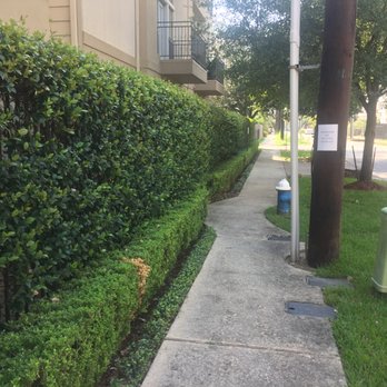 Tidal Wave Pressure & Soft Wash Solutions - North sidewalk before. - Pressure Washers Near Me Tidal Wave Pressure & Soft Wash Solutions - North sidewalk before. - Pressure Washers Near Me